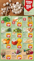 REWE Fertiggerichte im Prospekt 