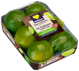 Limetten von Edeka für 1,99 € bei EDEKA im Angebot Limetten von Edeka im aktuellen EDEKA Prospekt