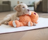 Spielzeug im Fressnapf Prospekt AniOne Pepe & Kitty Hundespielzeug im aktuellen Fressnapf Prospekt für 3,99 €