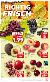Nektarinen Angebote im Prospekt "Hier bin ich richtig" von Kaufland Nektarinen Angebote im Prospekt "Hier bin ich richtig" von Kaufland auf Seite 31