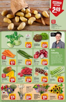 Pflanzen im aktuellen REWE Prospekt (Braunschweig) Pflanzen im REWE Prospekt "Dein Markt" mit 36 Seiten (Braunschweig)