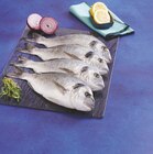 Daurade royale d'aquaculture en promo chez U Express Le Havre à 3,20 €