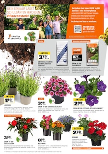 Blumenerde im aktuellen OBI Prospekt (Stuttgart) Blumenerde im OBI Prospekt "BIBERSTARKE ANGEBOTE" mit 25 Seiten (Stuttgart)