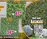 Pflanzenwand „Fire Sky“ für 32,90 € bei Hornbach im Angebot Pflanzenwand „Fire Sky“ im aktuellen Hornbach Prospekt