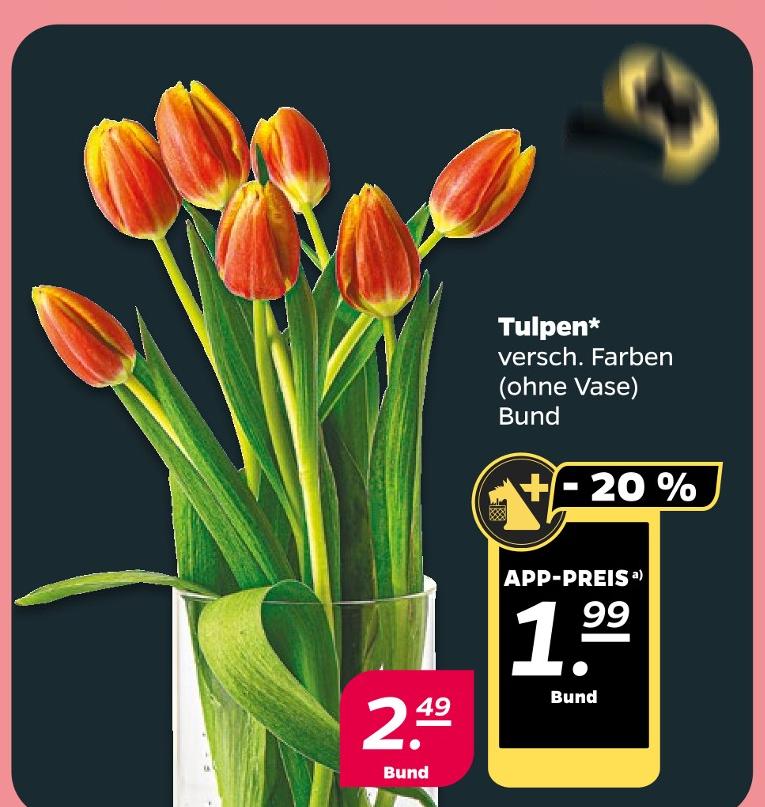 Tulpen