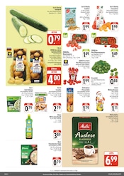 Gemüse im nah und gut Prospekt in Bautzen Aktueller nah und gut Prospekt mit Gemüse, "Wir lieben Lebensmittel!", Seite 2