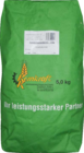 Sonnenblumenkerne im Angebot bei Bauzentrum Reinholdshain in Freital Sonnenblumenkerne Angebote von Kornkraft bei Bauzentrum Reinholdshain Freital für 5,99 €