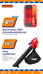 Garten Angebot & Preis im aktuellen Action Prospekt Garten Angebot im aktuellen Action Prospekt auf Seite 34