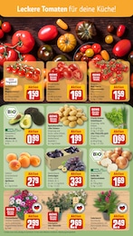 REWE Fliesen im Prospekt REWE Fliesen im Prospekt