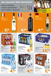 Aktueller Globus-Baumarkt Prospekt mit Sekt, "Immer eine Idee besser", Seite 17