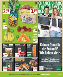 Chrysantheme im aktuellen Marktkauf Prospekt (Dortmund) Chrysantheme im Marktkauf Prospekt "Aktuelle Angebote" mit 30 Seiten (Dortmund)