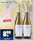 Lugana DOC im Angebot bei Getränkewelt in Meerbusch Lugana DOC Angebote von Scavi & Ray bei Getränkewelt Meerbusch für 8,99 €