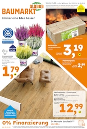 Ähnliche Angebote wie Blumenzwiebeln im Prospekt "Immer eine Idee besser" auf Seite 1 von Globus-Baumarkt in Kamen