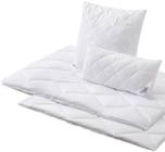 Ganzjahresbett im Angebot bei XXXLutz Möbelhäuser in Kempen Ganzjahresbett Angebote von Sleeptex bei XXXLutz Möbelhäuser Kempen für 9,99 €