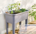 Jardinière sur pied avec couvercle - Super U à Mérignac Jardinière sur pied avec couvercle en promo chez Super U Mérignac à 18,99 €
