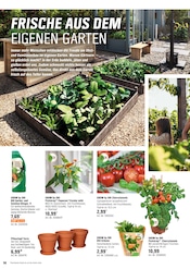 Aktueller OBI Prospekt mit Bio Lebensmittel, "Alles Machbar In deinem Garten", Seite 14