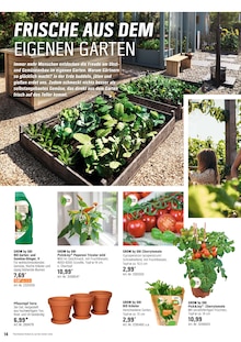 Gemüse im OBI Prospekt "Alles Machbar In deinem Garten" mit 20 Seiten (Duisburg)