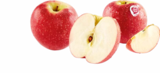Äpfel im Angebot bei Netto Marken-Discount in Hattingen Äpfel Angebote von Pink Lady bei Netto Marken-Discount Hattingen für 2,79 €