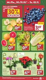 Aktueller ALDI Nord Prospekt mit Orchidee, "Aktuelle Angebote", Seite 29