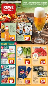 REWE Prospekt "Dein Markt" mit  Seiten (Nürnberg)