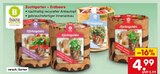 Aktuelles Zuchtgarten – Erdbeere Angebot bei Netto Marken-Discount in Frankfurt (Main) ab 4,99 €