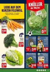 Blumen im EDEKA Prospekt in Rheine Aktueller EDEKA Prospekt mit Blumen, "Aktuelle Angebote", Seite 5