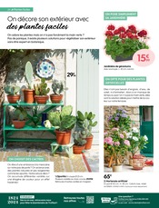 Cactus Angebote im Prospekt "UN ESPACE DE VIE POUR PLUS DE BONHEUR !" von Truffaut auf Seite 28