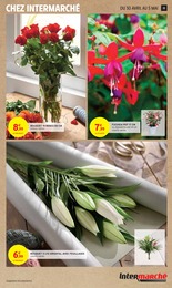 Offre Fleur En Pot dans le catalogue Intermarché du moment à la page 19