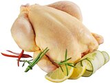REWE - Franz. Maishähnchen Angebot im Prospekt Franz. Maishähnchen bei REWE im Prospekt "" für 0,99 €