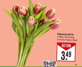 Aktuelle Tulpen Angebote bei Marktkauf in Stuttgart Aktuelles Tulpenstrauß XL Angebot bei Marktkauf in Stuttgart ab 3,49 €