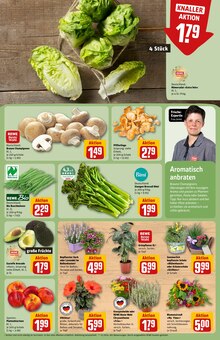 Pflanzen im REWE Prospekt "Dein Markt" mit 28 Seiten (Jena)