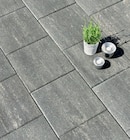 Aktuelle Terrassenplatten Angebote bei Hagebaumarkt in Lübeck Aktuelles Terrassenplatte Rabanos Angebot bei Hagebaumarkt in Lübeck ab 4,49 €