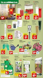 Grablicht Angebot im aktuellen Thomas Philipps Prospekt auf Seite 10
