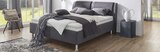 Aktuelles Polsterbett Angebot bei BRAUN Möbel-Center in Reutlingen ab 1.699,00 €