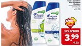 Apple Fresh oder Classic Clean Angebote von head & shoulders bei Marktkauf Altenburg für 3,99 €