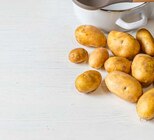 Bio-Kartoffeln von tegut... im aktuellen basic Prospekt für 1,99 €