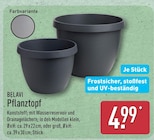 Pflanztopf im Angebot bei ALDI Nord in Lemgo Pflanztopf Angebote von BELAVI bei ALDI Nord Lemgo für 4,99 €