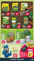 Blumenerde im Netto mit dem Scottie Prospekt Günstig. Besser. Für Dich. auf S. 19