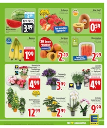 Bananen im aktuellen EDEKA Prospekt (Regensburg) Bananen im EDEKA Prospekt "Wir lieben Lebensmittel." mit 31 Seiten (Regensburg)