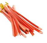 Rhabarber im aktuellen Netto mit dem Scottie Prospekt