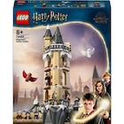 LEGO® Harry Potter™ 76430 La volière du château de Poudlard dans le catalogue Fnac