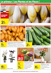 Orchidée Angebote im Prospekt "UN Noël POUR TOUS LES GOÛTS" von Carrefour Orchidée Angebote im Prospekt "UN Noël POUR TOUS LES GOÛTS" von Carrefour auf Seite 28