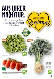 Aktueller EDEKA Prospekt mit Tomaten, "Aktuelle Angebote", Seite 8