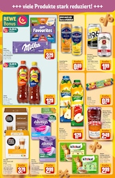 Katzenfutter Angebot im aktuellen REWE Prospekt auf Seite 5