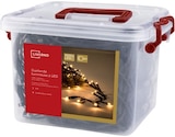 Guirlande lumineuse à LED - LIVARNO en promo chez Lidl Guirlande lumineuse à LED - LIVARNO dans le catalogue Lidl