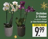Orchidee 2-Trieber von  im aktuellen EDEKA Prospekt für 9,99 €