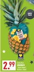 Ananas im Angebot bei Marktkauf in Düsseldorf Ananas Angebote von EDEKA bei Marktkauf Düsseldorf für 2,99 €