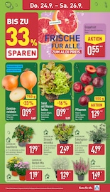 Gartenmöbel im ALDI Nord Prospekt in Osnabrück Aktueller ALDI Nord Prospekt mit Gartenmöbel, "Aktuelle Angebote", Seite 27