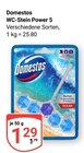 WC-Stein Power 5 Angebote von Domestos bei GLOBUS Leipzig für 1,29 €
