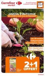 Catalogue Supermarchés Carrefour Market en cours à Toulouse et alentours, JARDIN D'AUTOMNE DES EXPERTS POUR VOUS ACCOMPAGNER, 22 pages, 24/09/2024 - 13/10/2024